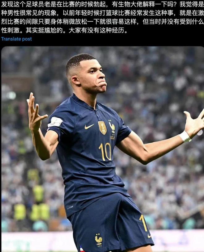 开云平台-包含球场内外：运动员的生活与训练故事的词条