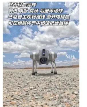 Kaiyun(中国)开云-包含最具争议的转会交易：背后隐藏的战术布局的词条