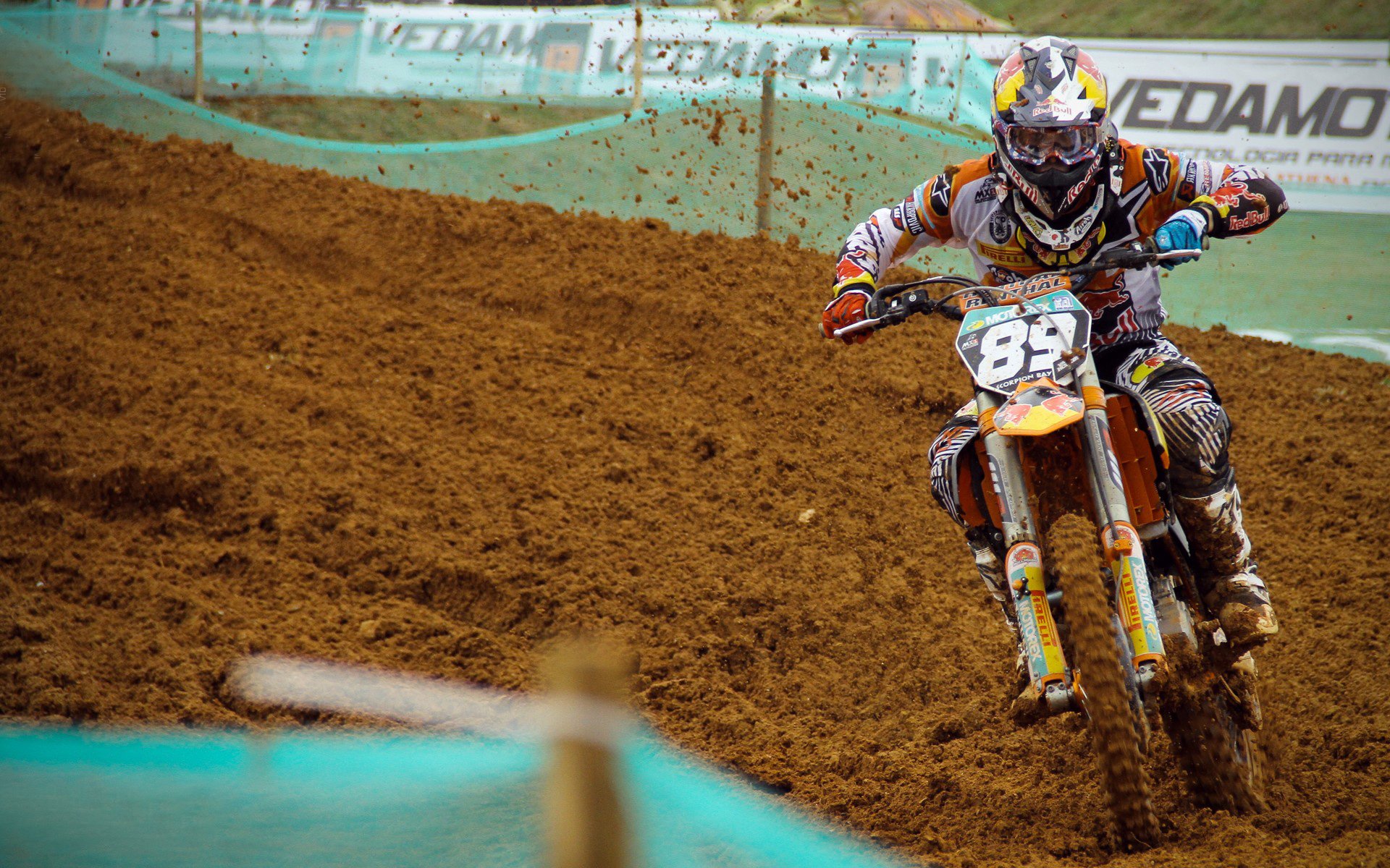 开云官网入口注册-青训“互联网+++”跨界融合全面落地，行业数字化转型开启新篇章